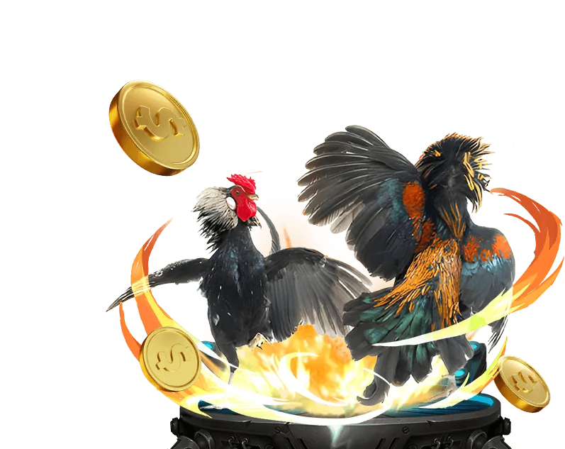 Lợi ích khi chơi đá gà 555win